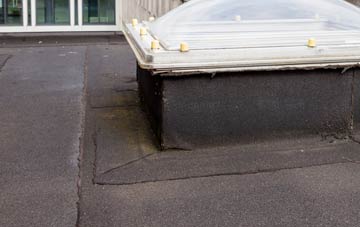 disadvantages of Lon flat roofs