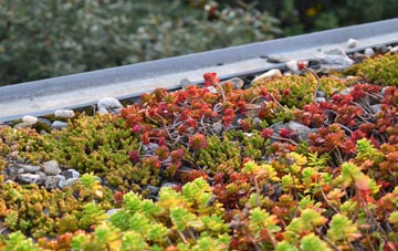 the cost of Lon green roof installation