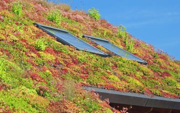 Lon living roof systems