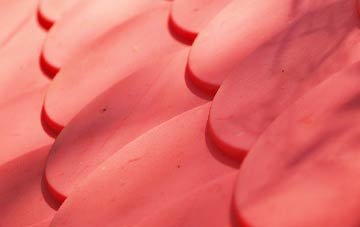 Lon plastic roof costs