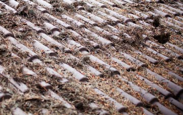 Lon roof cleaning companies