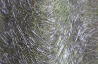 Lon fibreglass roof work